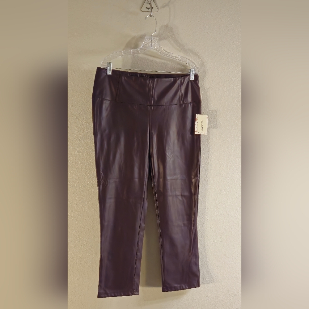 Brand New Faux Leather Pants